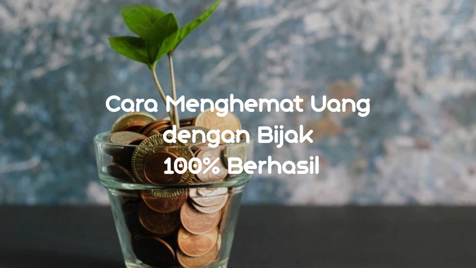 Cara Menghemat Uang dengan Bijak