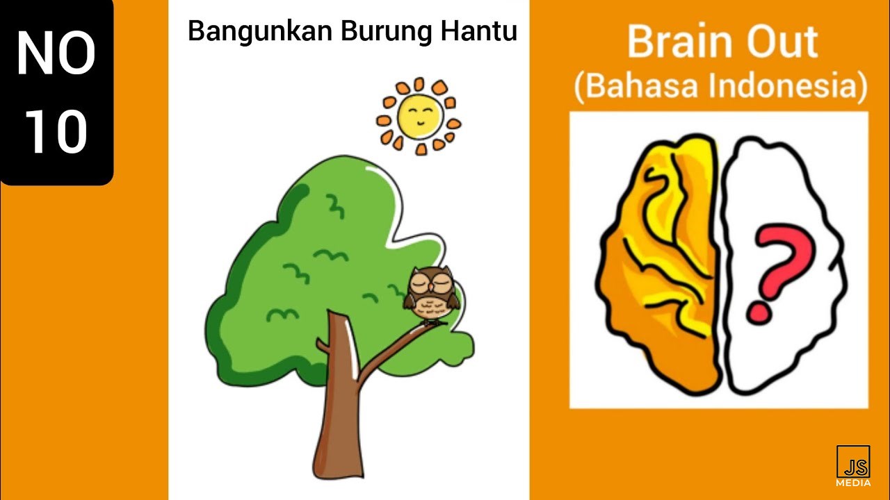 Jawaban Bangunkan Burung Hantu Brain Out