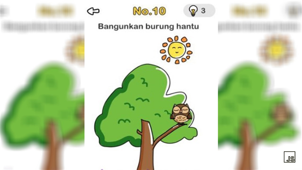 Bangunkan Burung Hantu Brain Out