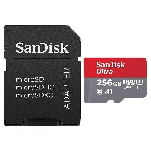 Kartu microSD SanDisk (256GB)