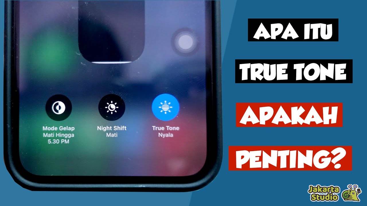 Apa Itu True Tone iPhone 