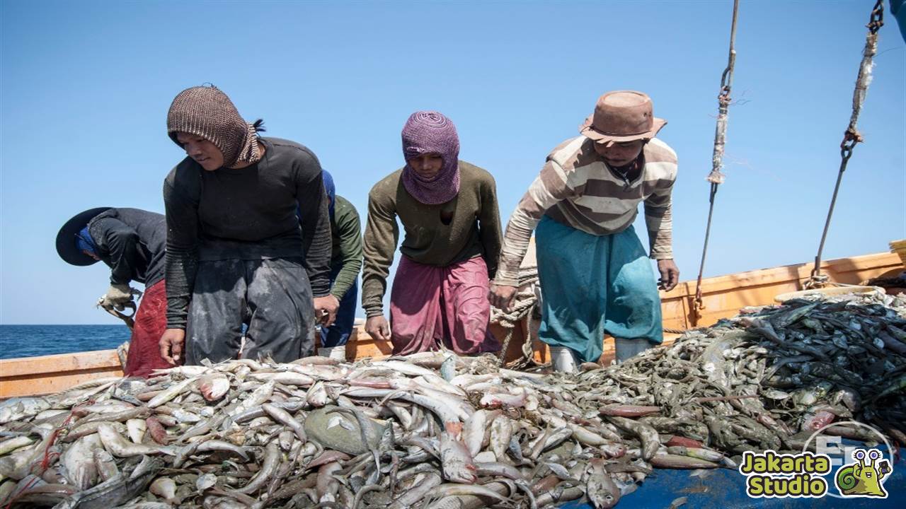 Cara Kerja di Kapal Ikan Australia 