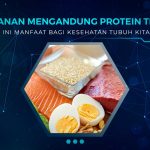 Makanan Mengandung Protein Tinggi