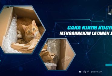 Cara Kirim Kucing Lewat JNE