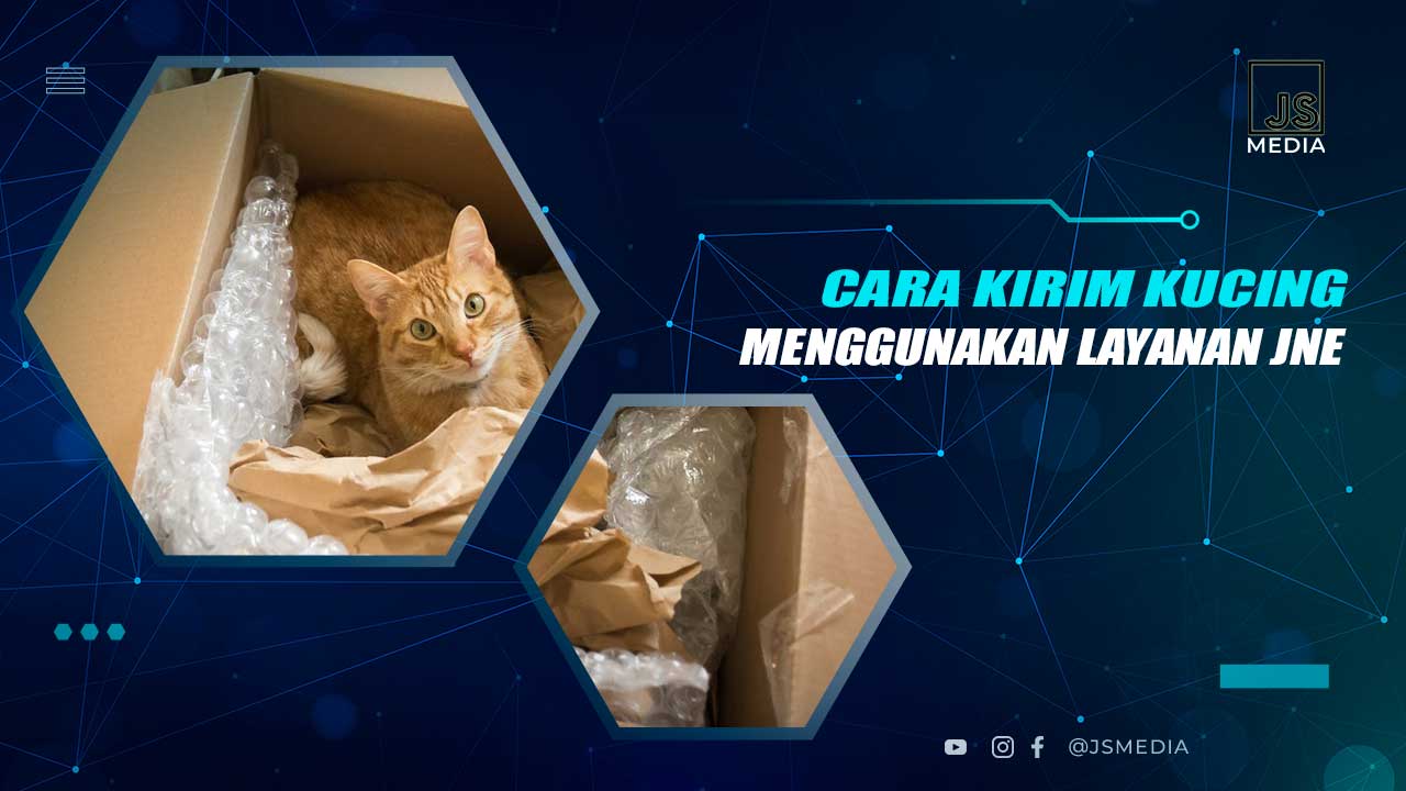 Cara Kirim Kucing Lewat JNE