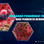 Makanan Penambah Trombosit