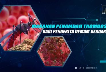 Makanan Penambah Trombosit