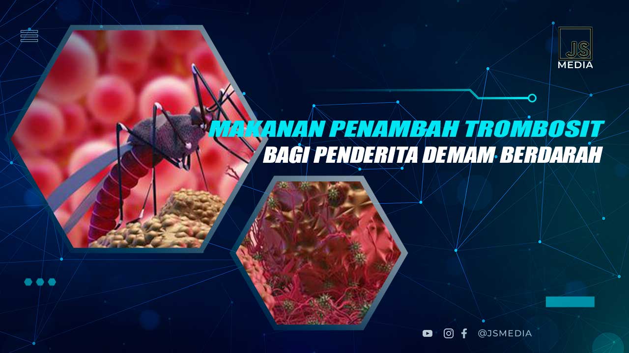 Makanan Penambah Trombosit