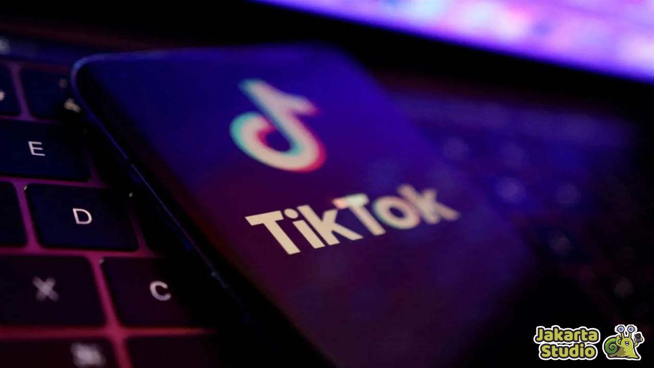 Solusi Pembatasan Privasi TikTok