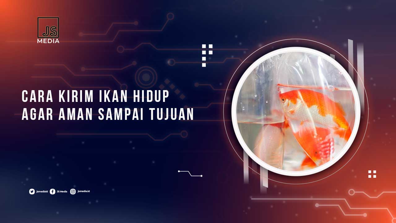 Tips Kirim Ikan Hidup