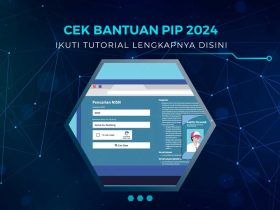 Cara Cek PIP 2024