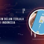 Popularitas e-SIM di Indonesia