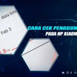 Cek Penggunaan Data