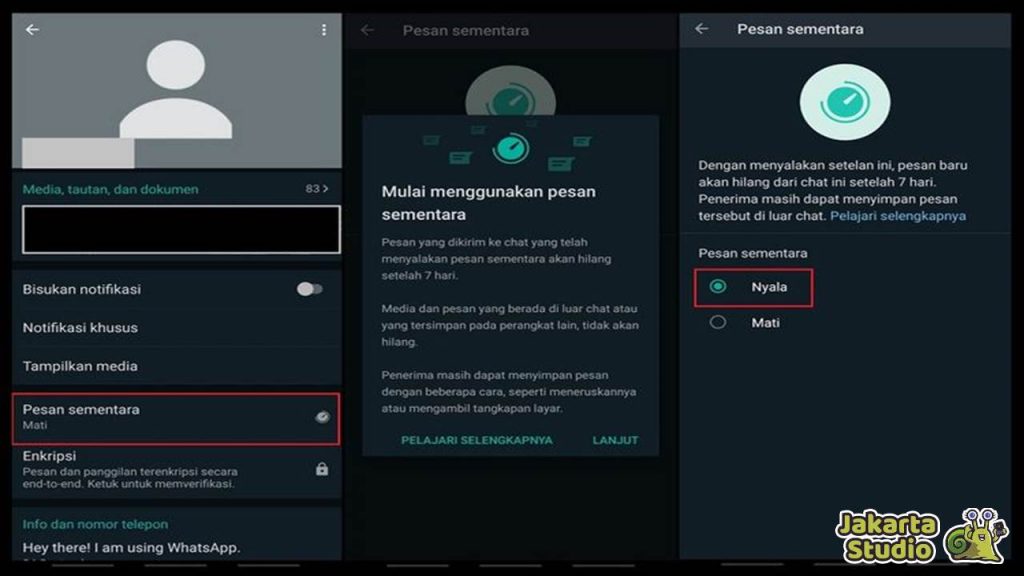 Pesan Sementara Whatsapp