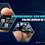 SSD NVME 512 GB Terbaik